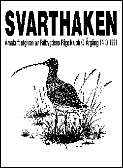 Svarthaken 1991
